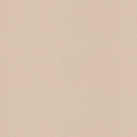 Обои Rasch New Maximum 805840