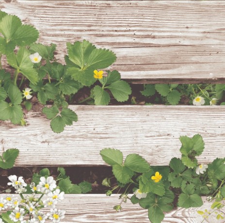 Обои SH&D Natural 87020-1